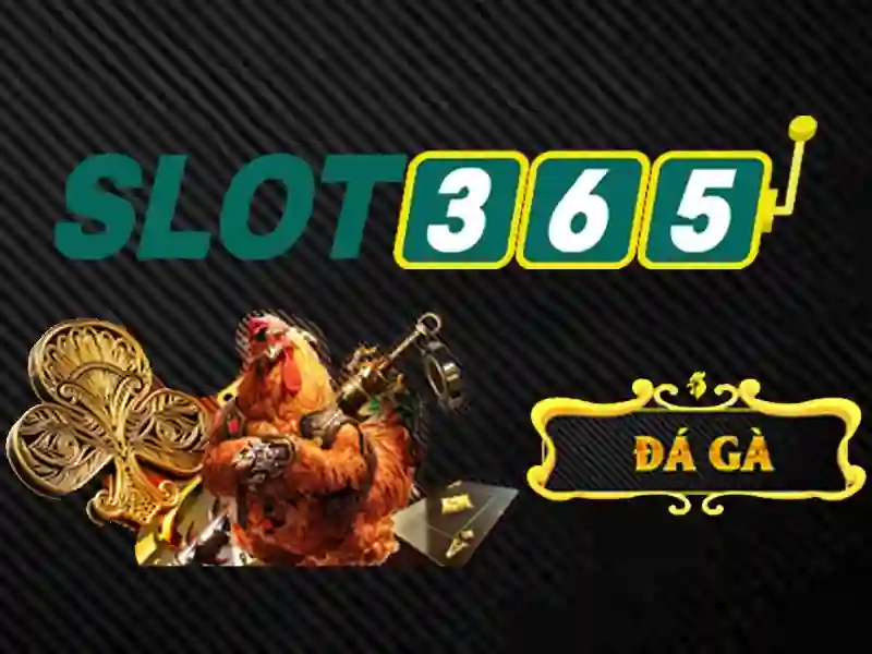 SLOT365 - Trang Chủ Chính Thức, Link Đăng Nhập Slot365 Không Bị Chặn 2026