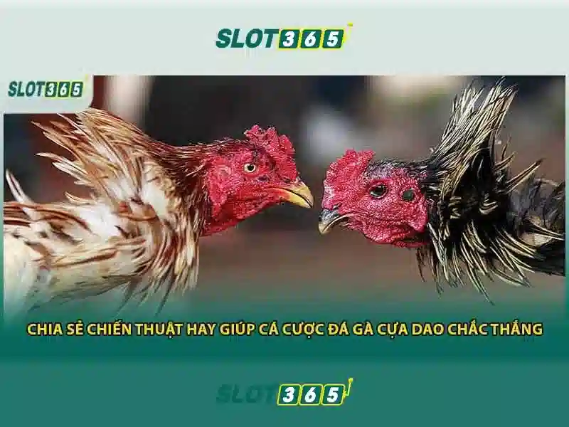 Đăng ký Slot365