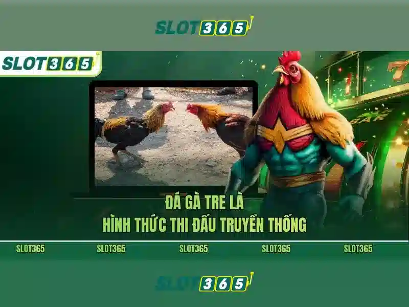 Đánh Giá Slot365