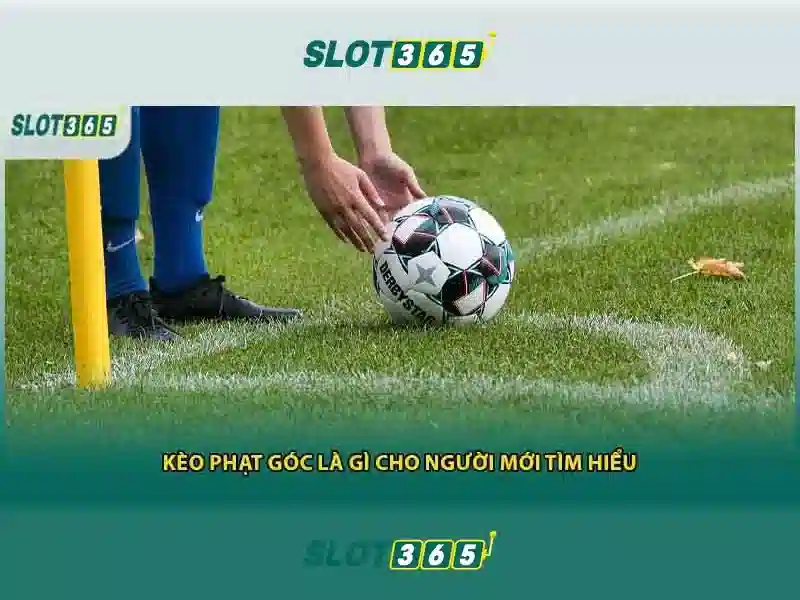 Đánh Giá Slot365 Có Lừa Đảo Không