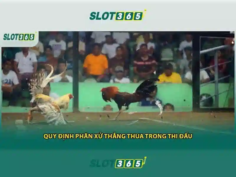 Trải Nghiệm Slot365