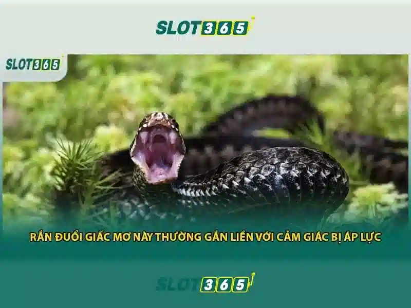 Ưu Điểm Slot365 Pulsa Tanpa Potongan