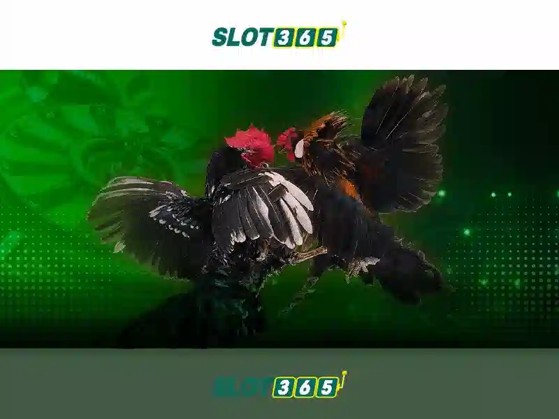 Khuyến Mãi Slot365