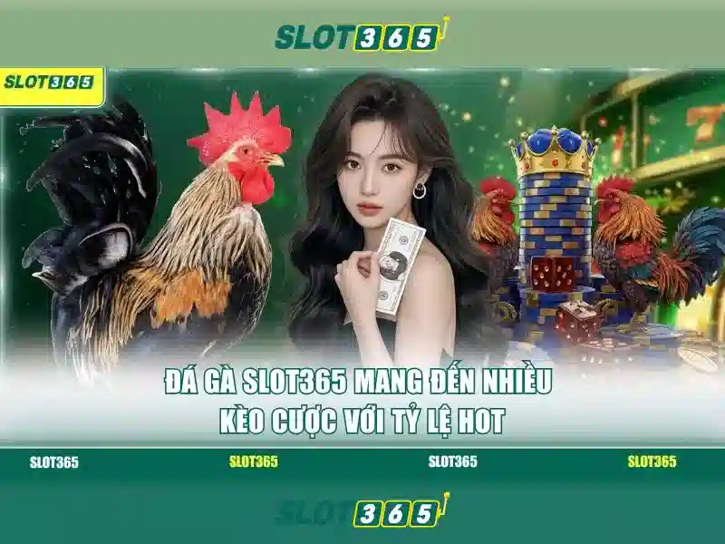 Ưu điểm SLOT365
