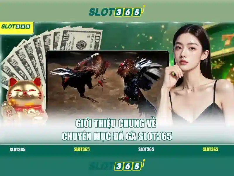 Khuyến Mãi Slot365