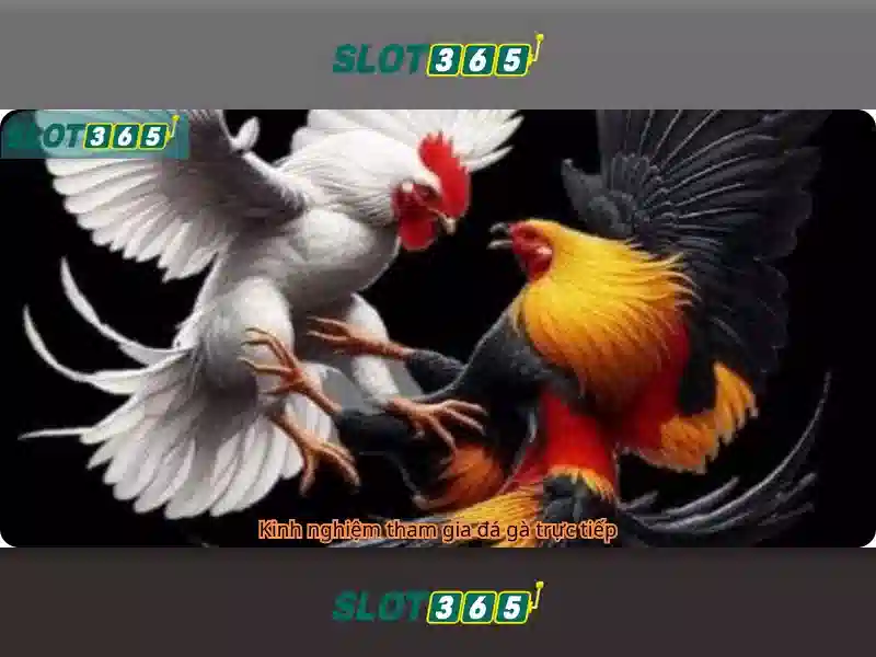 Đăng Ký Slot365