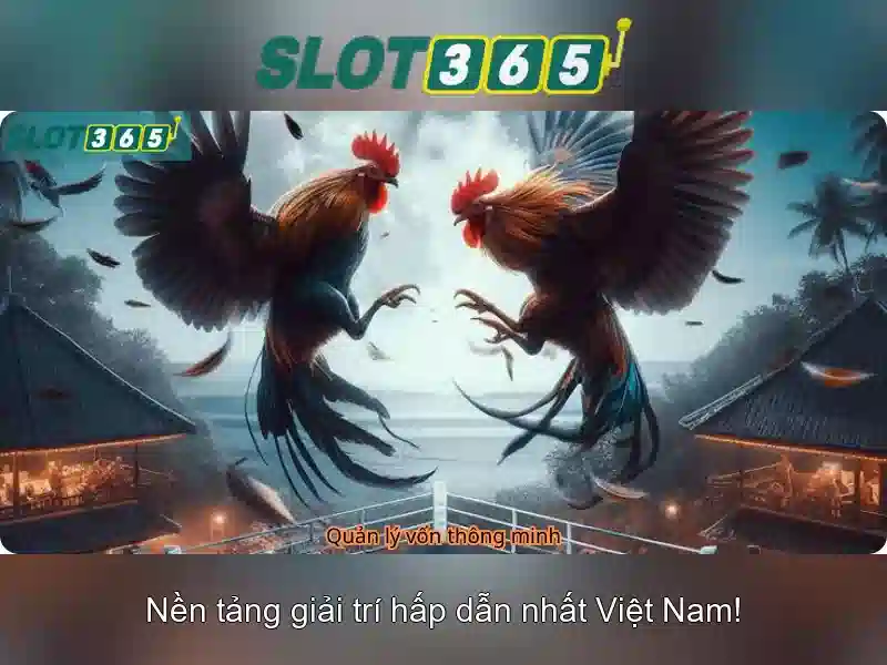 rút thưởng Slot365