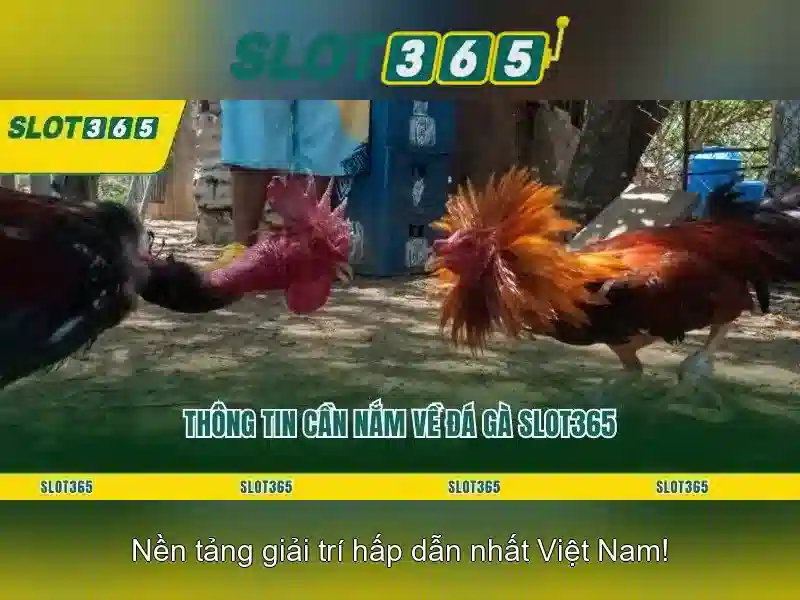 Khuyến mãi Slot365