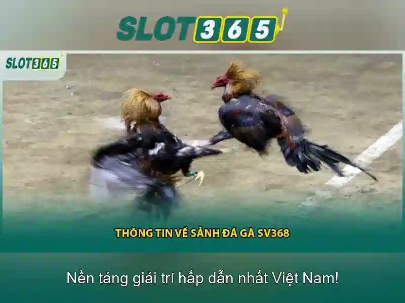 Trải nghiệm Slot365 Ios trên máy tính bảng