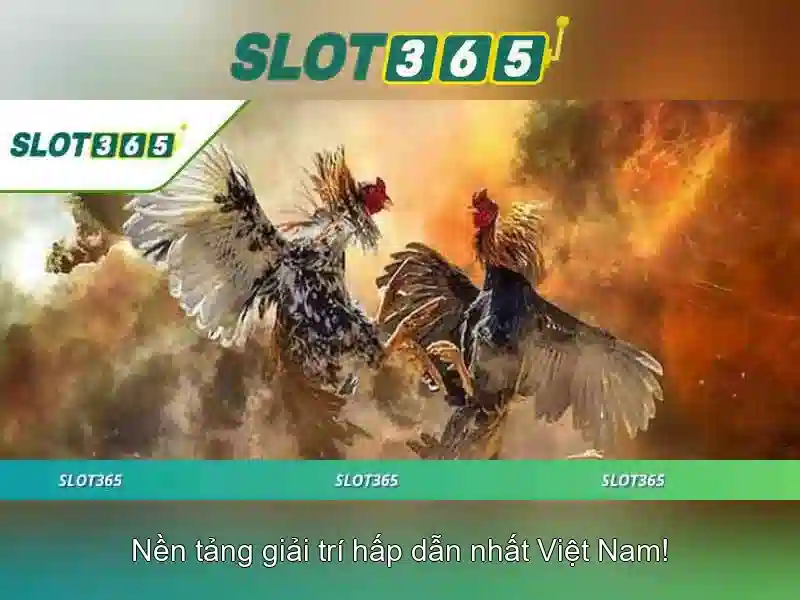 trải nghiệm Slot365