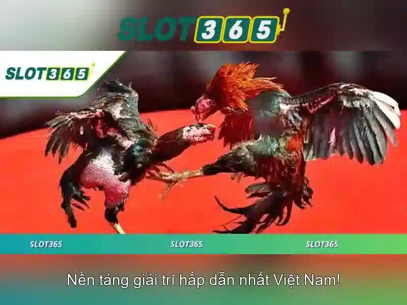 code Slot365 mới nhất