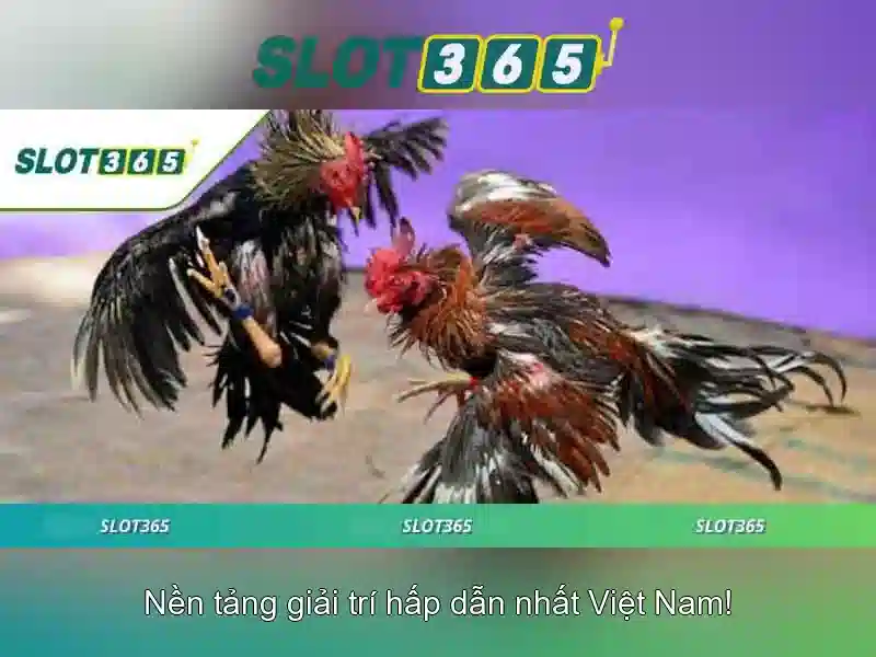trải nghiệm Slot365
