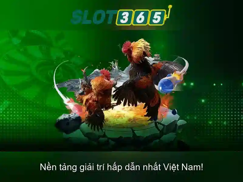 Đăng Nhập Slot365 – Trang Chủ Slot365 Không Bị Chặn 2026