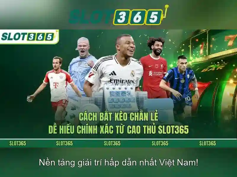 Quyền Lợi Người Dùng