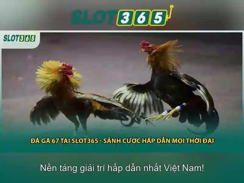 Cách Chơi BẮN CÁ Trên SLOT365