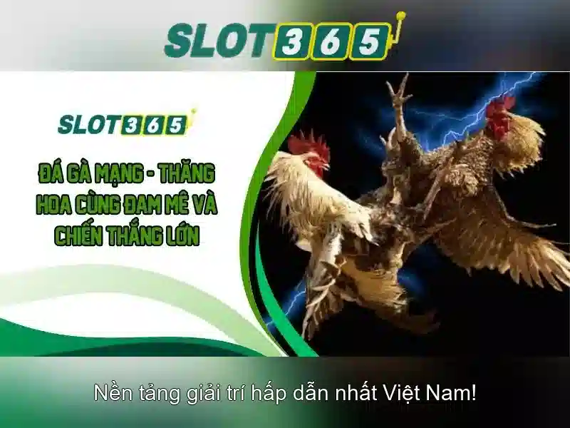 Tải Slot365