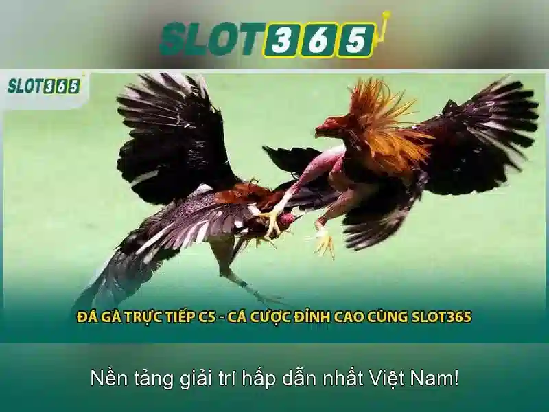 Ưu điểm Slot365