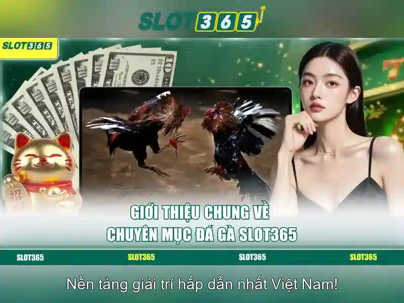 Khuyến mãi Slot365 tái