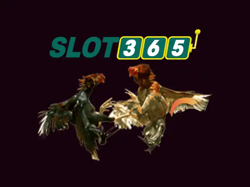 Khám phá Slot365 Poker